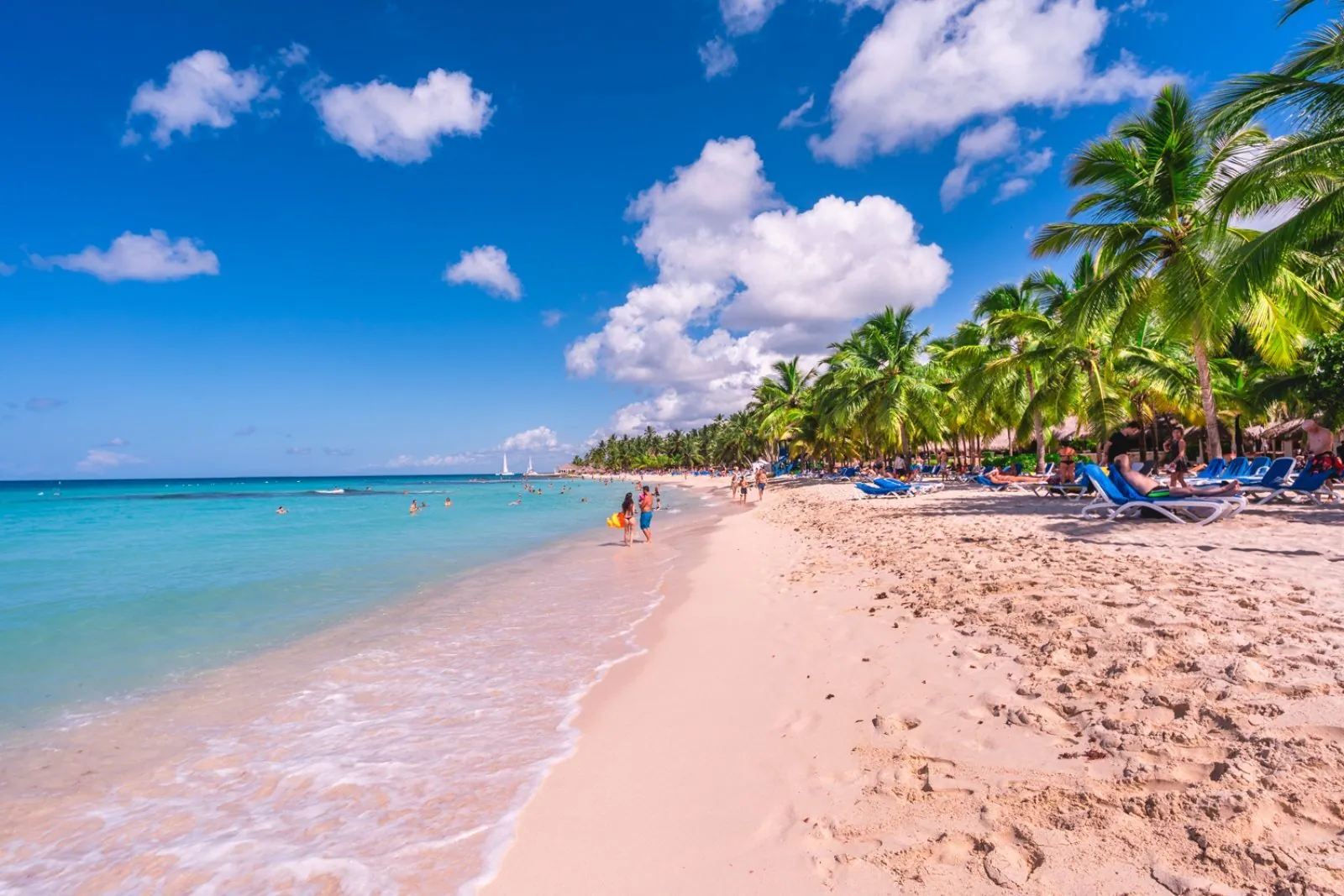 Bravo Viva Dominicus Beach e Palace