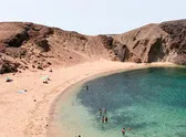 Alev Takil